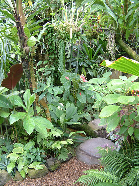 Tropical conservatory
